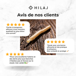Lot de 5 Siwak